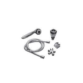 REGADERA TELEF S/BZO CROM 10800
